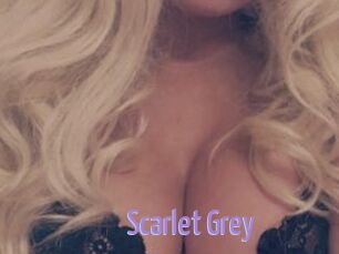 Scarlet_Grey