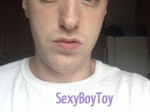 SexyBoyToy