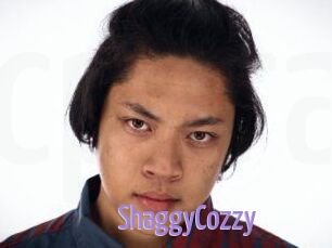 ShaggyCozzy