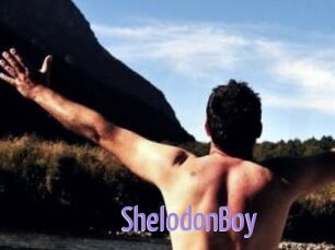 ShelodonBoy