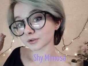 Shy_Mimosa