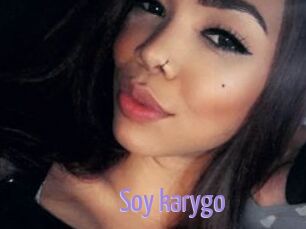 Soy_karygo