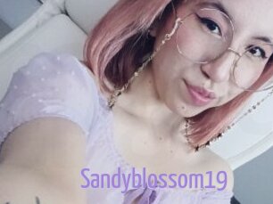 Sandyblossom19