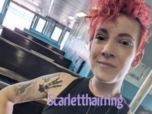 Scarletthairring