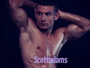 Scottadams