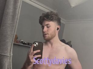 Scottydavies