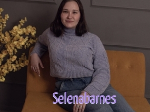 Selenabarnes