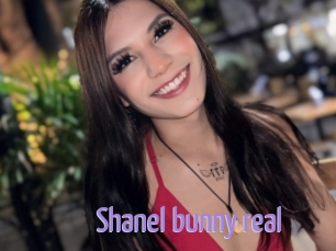 Shanel_bunny_real