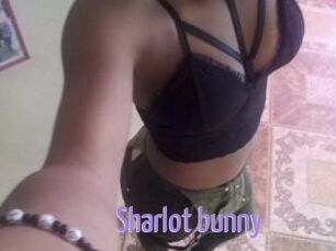 Sharlot_bunny