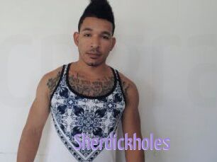 Sherdick_holes