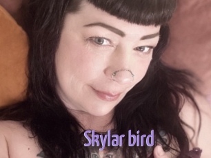 Skylar_bird