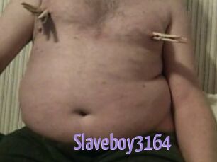 Slaveboy3164