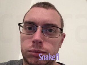 Snakefl