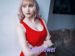 Sollyflower