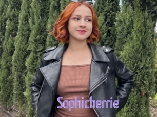 Sophicherrie