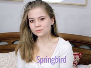 Springbird