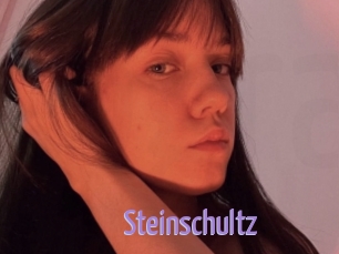 Steinschultz