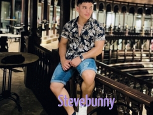 Stevebunny