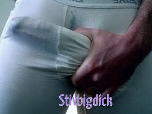 Stivbigdick