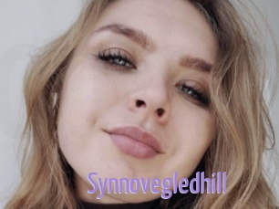 Synnovegledhill