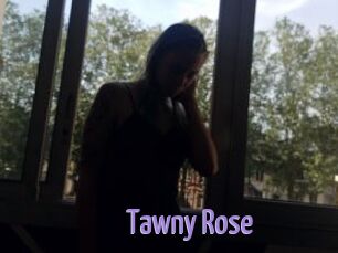 Tawny_Rose