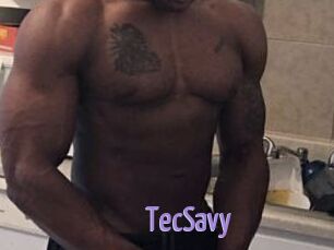 TecSavy