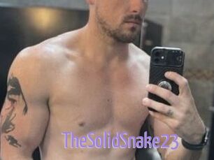 TheSolidSnake23