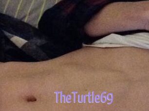 TheTurtle69