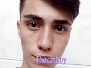 Thecatboy