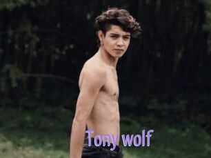 Tony_wolf