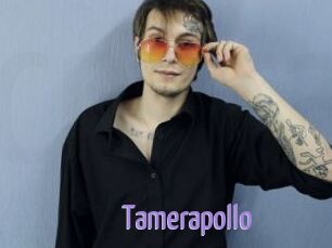 Tamerapollo