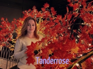 Tanderrose