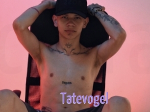 Tatevogel