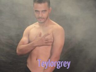 Teylorgrey