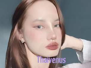 Thaivenus