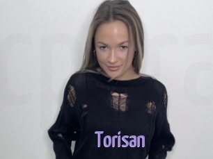 Torisan