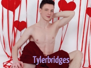 Tylerbridges