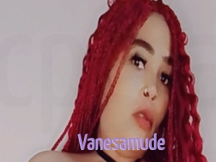 Vanesamude