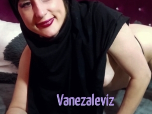 Vanezaleviz