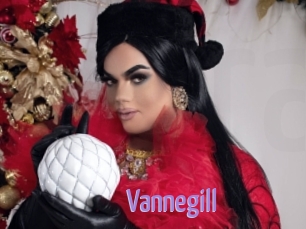 Vannegill