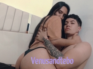 Venusandtebo