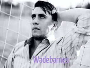 Wadebarnes