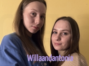 Willaandantonia