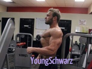 YoungSchwarz