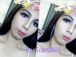 YourTransWild