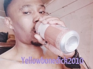 Yellowbonedick2010