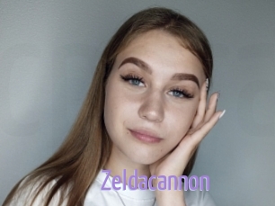 Zeldacannon